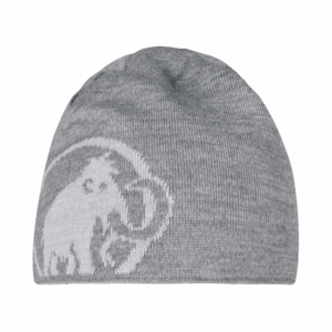 MAMMUT Logo Beanie