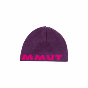 MAMMUT Logo Beanie